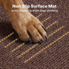 Veehoo wooden construction provides sturdy support for pets.