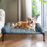 Veehoo orthopedic elevated dog bed front view with roomy sleeping space
