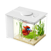 Vehipa Betta Tank front view showing compact desk-friendly design ideal for small spaces.