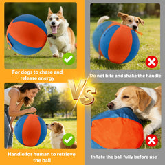 Velupet Zoom 18-inch dog herding ball orange for dynamic play