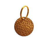 Verdepet Labs flea tag on collar for chemical-free ongoing protection.