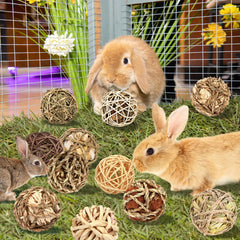 VESPRO Corn Leaves Ball with natural textures invites gnawing and play.