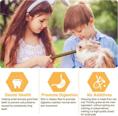 VESPRO rose flower sticks for rabbits emphasize colorful enrichment and exploration during playtime.