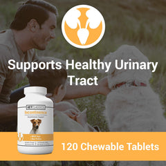 Vet Classics incontinence dog chews pack illustrates convenient, veterinarian-developed support.