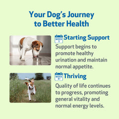 Vet-formulated Kidney Support Gold signifies trusted pet care.