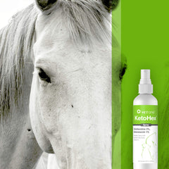 Vet One Ketohex Spray on-paw view highlights simple at-home use.