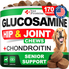 Vet Promise Advanced Glucosamine chews bottle shows joint support for aging dogs