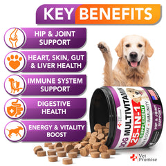 Vet Promise dog multivitamin chews in bowl promote tasty daily intake for ongoing vitality.