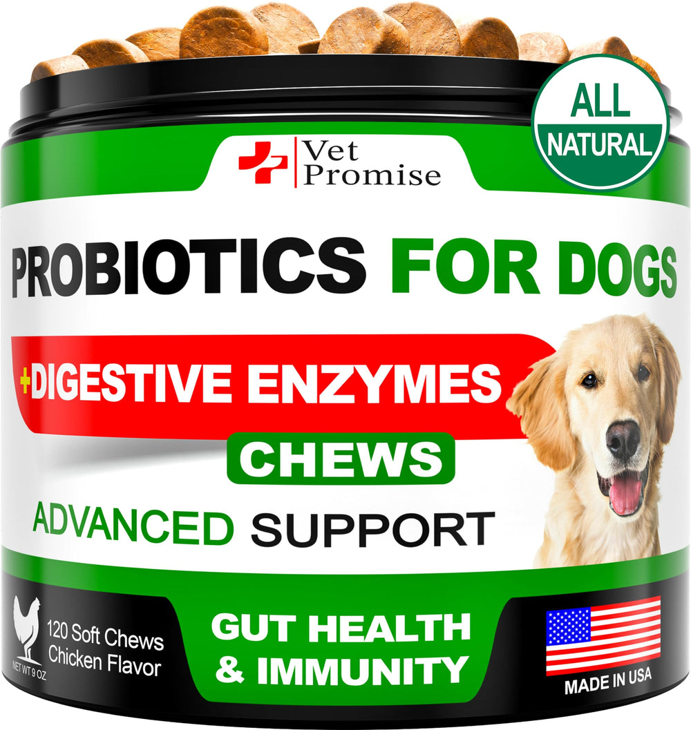 Vet Promise dog probiotics chews bottle shows convenient daily gut support