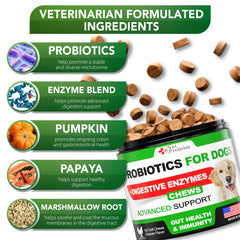 Vet Promise dog probiotics chews label packaging emphasizes natural ingredients