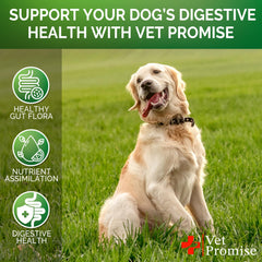 Vet Promise dog probiotics chews soft texture close-up for tasty appeal
