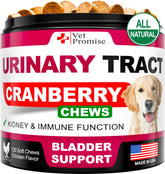 Vet Promise Dog UTI Chews bottle shown for convenient urinary support
