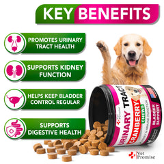 Vet Promise Dog UTI Chews in a bowl illustrating daily bladder care