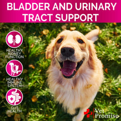 Vet Promise Dog UTI Chews made in USA label and vet-formulated quality