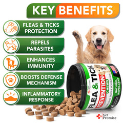 Vet Promise flea tick chews tablets closeup for daily dog care