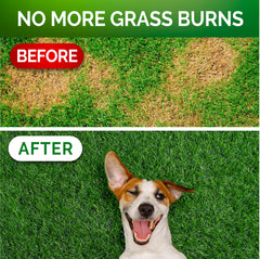 Vet Promise green lawn treats bag emphasizes urinary health support for dogs.