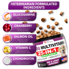 Vet Promise joint-support chew aids hip mobility for an active senior or playful puppy.