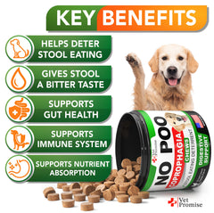 Close-up of No Poo Chews treats highlighting probiotic and enzyme blend benefits.