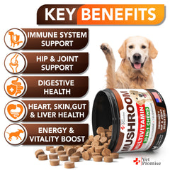 Vet Promise Reishi dogs immune boost with powerful antioxidants.