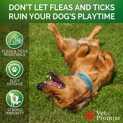 Vet Promise us-made flea tick chews logo signals vet formulation