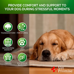Vet Promise vet-formulated label signals trusted quality for canine calming.