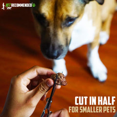 A dog enjoys Vet Recommended chicken hearts as a taurine-rich, natural snack.