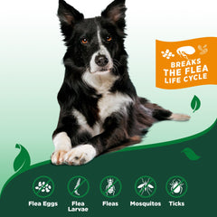 Vet's Best spray on carpets and furniture, non-staining for easy use.