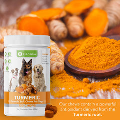 VET-VIRTUE Turmeric dog chews close-up emphasizes soft texture and tasty appeal.