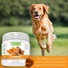 VET-VIRTUE turmeric for dogs chews serving-dish; easy daily portion for dogs.