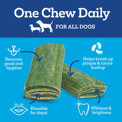Vetality daily dental chews texture closeup highlights easy chew for dogs.