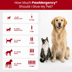 Vetanica PawMergency paste dispenser demonstrates easy administration