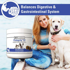 Vet Classics digestive enzymes bottle closeup highlights enzyme blend for gut support