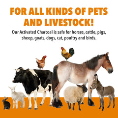 VetDtox Activated Charcoal Powder dog feeding mix image, easy administration.