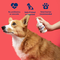Vetericyn Plus Dog Hot Spot Gel packaging showing trust and safety branding.
