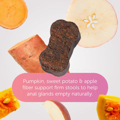 Gland-Ease small-dog chews for daily dosing support routine.