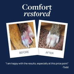 Dog coat treated with Veterinary Formula Clinical Care spray for refreshing feel