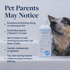 Veterinary Formula flea tick shampoo application enables routine grooming with two-pack convenience