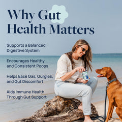 Veterinary Formula Smart Vitality probiotic chews close-up promoting gut balance