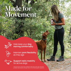 Smart Vitality soft chews for dogs shown on the floor, easy to administer