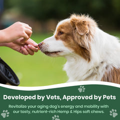 Close-up of soft chews from Veterinary Naturals Hemp & HIPS for mobility
