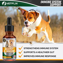 Vetflix bottle with ingredient highlights like elderberry and turmeric for wellness.