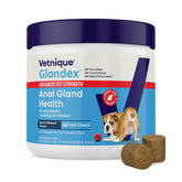 Vetnique Glandex bottle with advanced-strength soft chews supporting canine digestive health