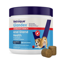 Vetnique Glandex bottle with advanced-strength soft chews supporting canine digestive health