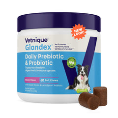 Vetnique Glandex probiotic chews bottle shows daily gut and immune support potential