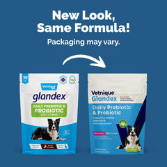Close-up of Vetnique Glandex probiotic chews for dogs.