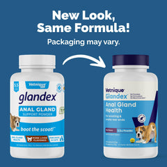 Glandex pumpkin seed blend for Vetnique dog's digestive comfort