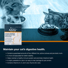 Daily mix of Advita powder into cat food simplifies administration.