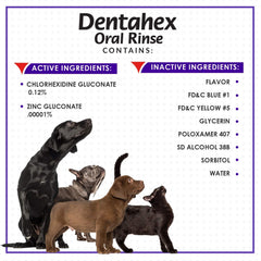 Vetoquinol Dentahex spray application used on a pet.