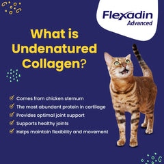 Vetoquinol Flexadin Advanced cat chew close-up promoting mobility.