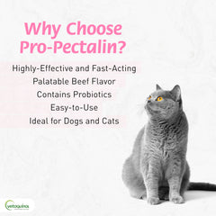 Vetoquinol Pro-Pectalin chicken-flavor tablets appealing to dogs and cats.